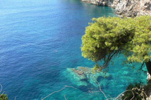 JADRAN 2026.